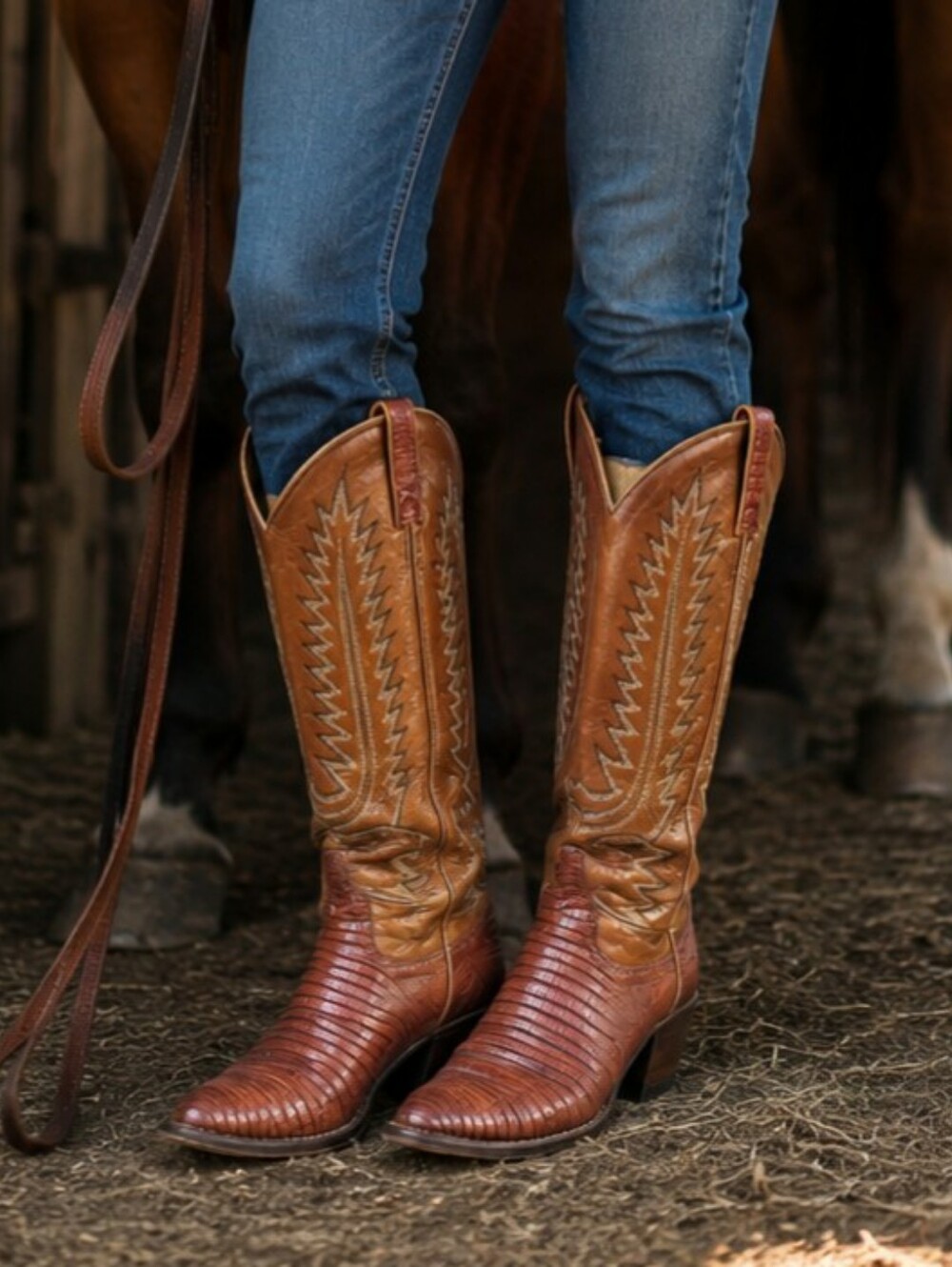 Dan Post Teju Lizard Cowboy Boots in Cognac - Women's size 7 C